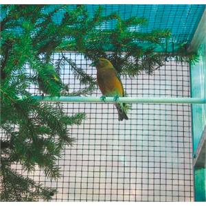 RETE METALLICA PLASTIFICATA PLASTIQUADRA 0,5X5MT in Giardinaggio