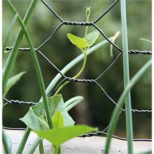 RETE METALLICA ZINCATA ESAZINC - 0,5X10MT - MAGLIA 16 MM - VERDELOOK in Giardinaggio