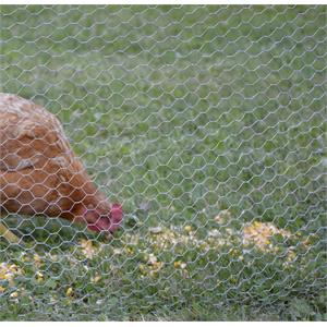 RETE METALLICA ZINCATA ESAZINC - 1X10MT - MAGLIA 50 MM - VERDELOOK in Giardinaggio