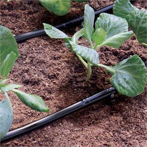 TUBO GOCCIOLANTE CLABER 1/2” (13-16 MM) 50 METRI in Giardinaggio