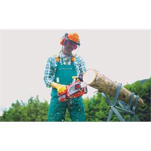 MOTOSEGA A BATTERIA EINHELL GE-LC 18/25-1 LI KIT in Giardinaggio