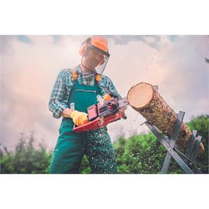 MOTOSEGA A BATTERIA EINHELL GE-LC 36/35 LI-SOLO in Giardinaggio