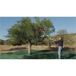 ABBACCHIATORE A BATTERIA PER OLIVE E FRUTTA EINHELL GE-FS 18/53 LI-SOLO in Giardinaggio