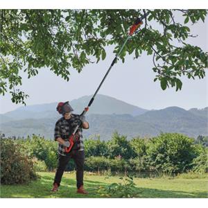 SVETTATOIO TELESCOPICO - POTATORE A BATTERIA - EINHELL GC-LC 18/20 LI T-SOLO in Giardinaggio