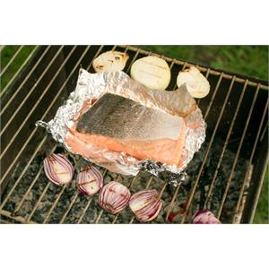 BARBECUE A CARBONELLA O CARBONE 35X50 in Arredamento giardino