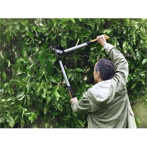 TRONCARAMI FISKARS POWERGEAR X BYPASS S LX92 in Giardinaggio