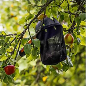 RACCOGLITORE FRUTTA PER MANICI FISKARS QUIKFIT in Giardinaggio