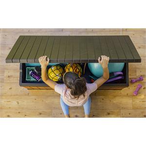 BAULE PORTA ATTREZZI KETER DARWIN BOX 150G EVOTECH MARRONE in Arredamento giardino