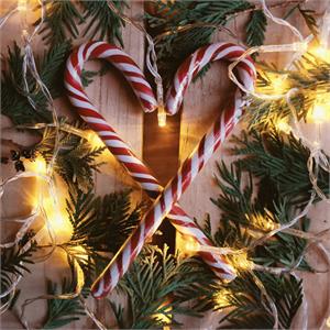 LUCI LED PER ALBERI DI NATALE ESTERNO INTERNO 360 miniLED BIANCO CALDO 25,7MT in Natale