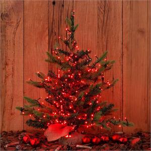 LUCI LED PER ALBERI DI NATALE ESTERNO INTERNO 360 miniLED ROSSO 25,7MT in Natale