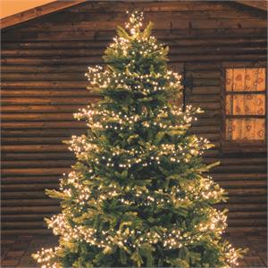 LUCI LED PER ALBERI DI NATALE ESTERNO INTERNO 1100 miniLED TRADITIONAL 11,5MT in Natale