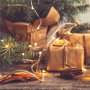 LUCI DI NATALE A BATTERIA CR2032 - CATENA LUMINOSA 4 MT BIANCO CALDO in Natale