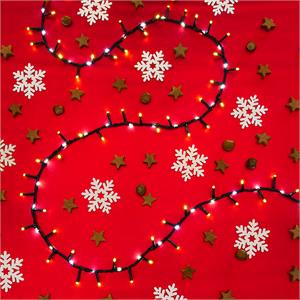 CATENA LUMINOSA 30 MT - 1660 LED - BIANCO CALDO E FREDDO in Natale