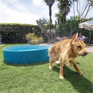 PISCINA INTEX RIGIDA RIPIEGABILE PER CANI CM 152X30 in Arredamento giardino