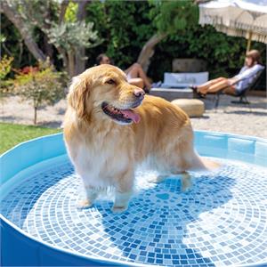 PISCINA INTEX RIGIDA RIPIEGABILE PER CANI CM 152X30 in Arredamento giardino
