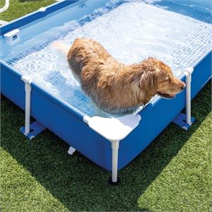 PISCINA INTEX RETTANGOLARE PER CANI CM 229X152X46 in Arredamento giardino