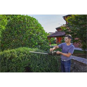 TAGLIASIEPI A BATTERIA ALPINA AH 20 Li KIT in Giardinaggio