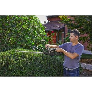 TAGLIASIEPI A BATTERIA ALPINA AH 20 Li KIT in Giardinaggio