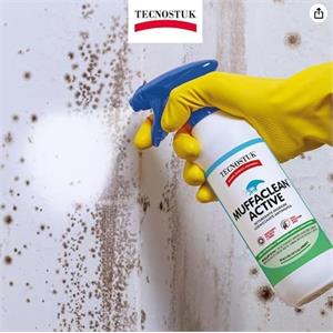 SPRAY ANTI MUFFA - TECNOSTUK MUFFACLEAN ACTIVE - 250 ML in Vernici