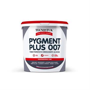 PYGMENT PLUS 007 - FONDO PIGMENTATO CONSOLIDANTE - 5 LT in Vernici