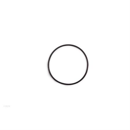 intex ricambi guarnizione filtro pompa sabbia 11824