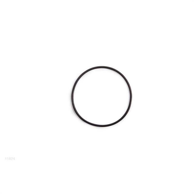 INTEX RICAMBI - GUARNIZIONE FILTRO POMPA SABBIA - 11824