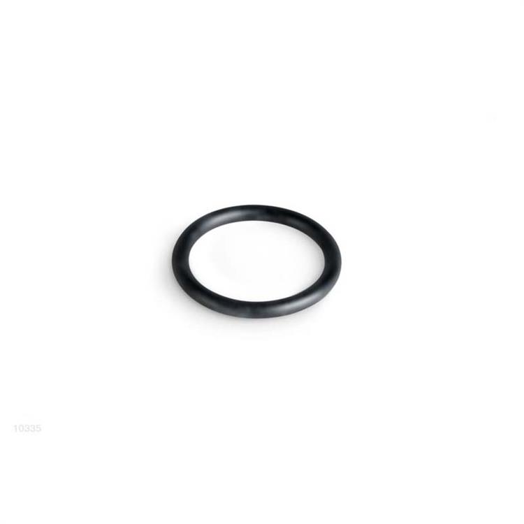 INTEX RICAMBI - GUARNIZIONE O RING PER VALVOLA PLUNGER 10355