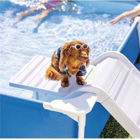 piscina intex rettangolare per cani cm 229x152x46