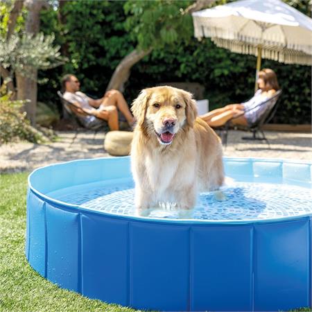 piscina intex rigida ripiegabile per cani cm 152x30