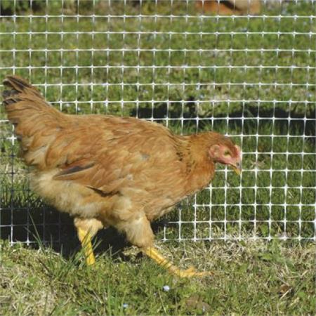 rete avicola grigia 1x10 mt verdelook