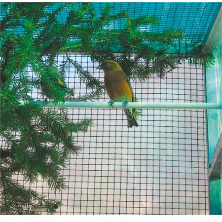 rete metallica plastificata plastiquadra 05x10 maglia 12 5mm