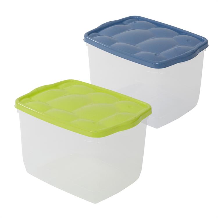 CONTENITORE PLASTICA TRASPARENTE CON COPERCHIO VERDE BLU TARATARUGO 40 30 25cm