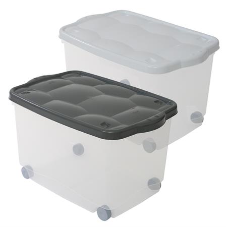 contenitore plastica trasparente con coperchio bianco antracite taratarugo 60 40 36cm